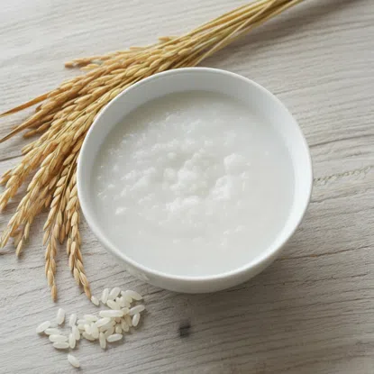 100% Reis Instantbrei