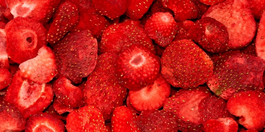 Gefriergetrocknete Erdbeeren Grizly