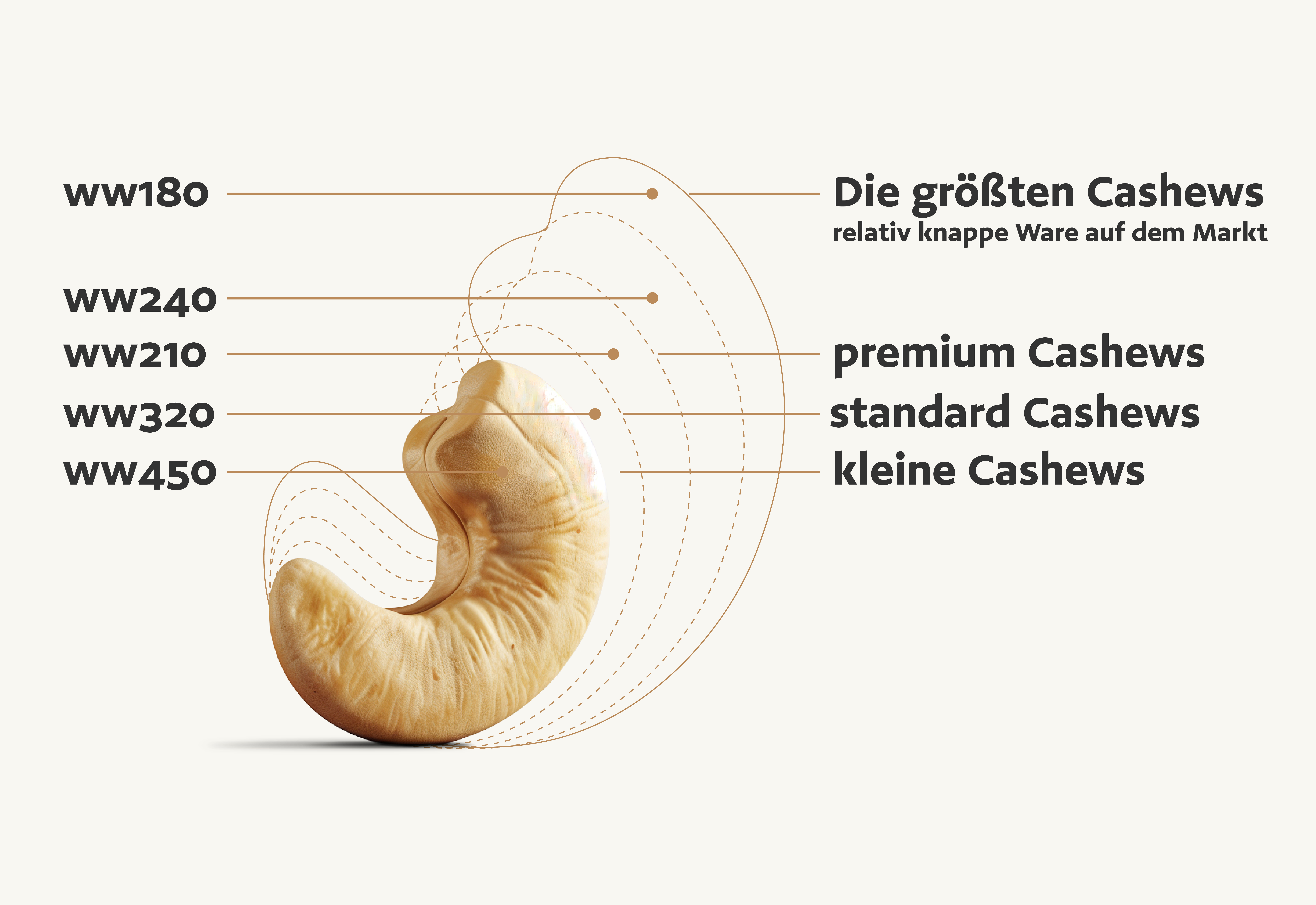 Rezept mit Cashew