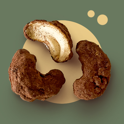 Karamellisierte Cashewkerne mit Kakao