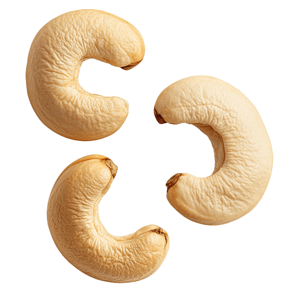 Cashew