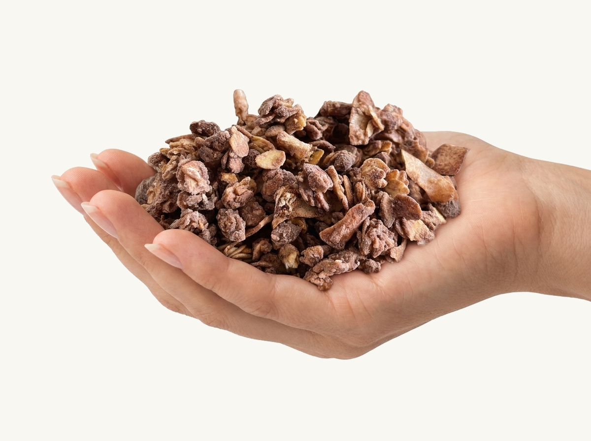 Granola in der Handfläche