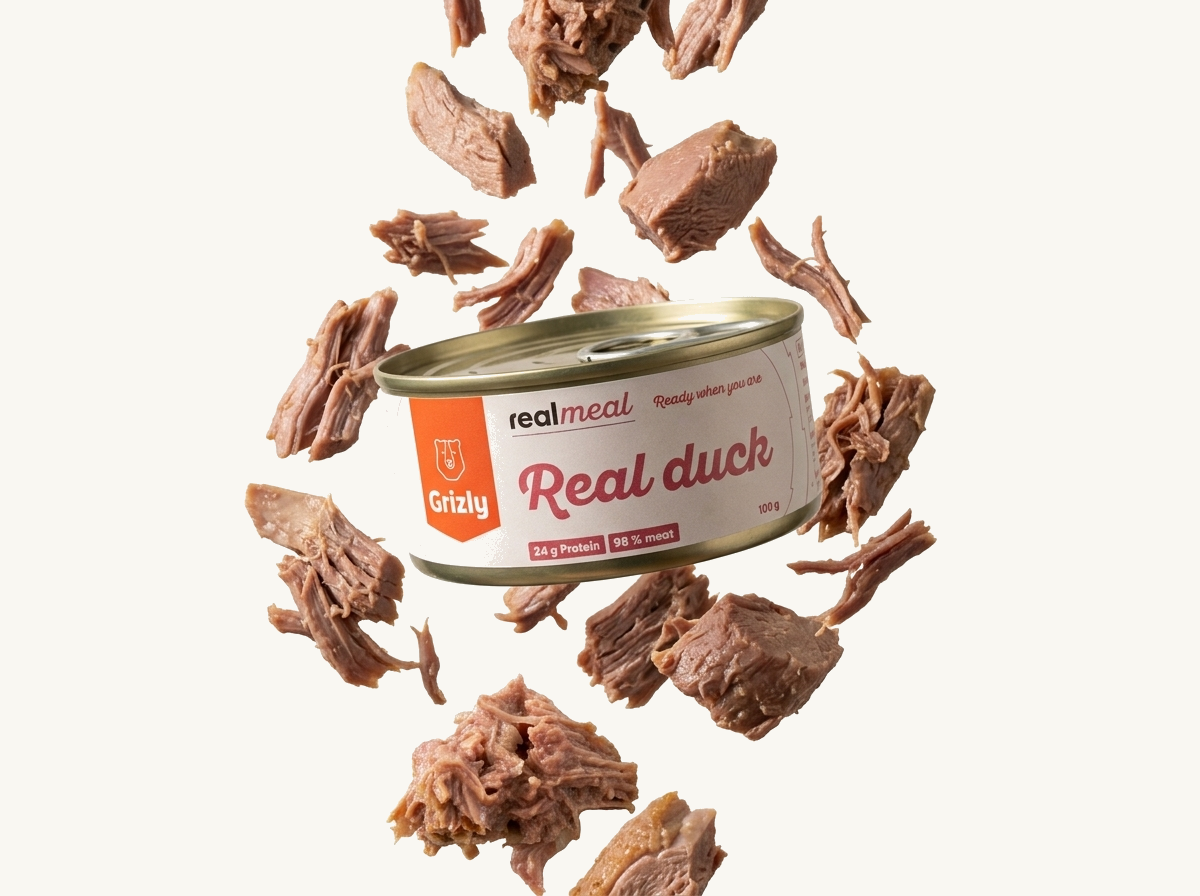 Entenbrust