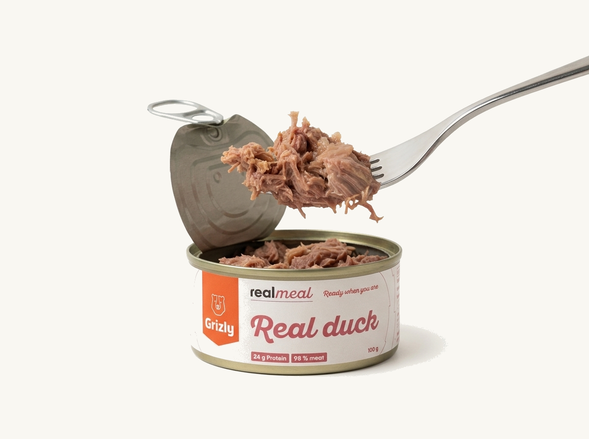 ein Stück Entenfleisch