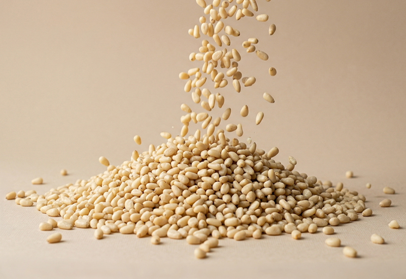 Flasche Ketchup und Tomaten