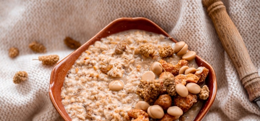 Haferbrei - Psyllium Grizly