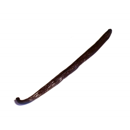 Bourbon Vanilleschote BIO