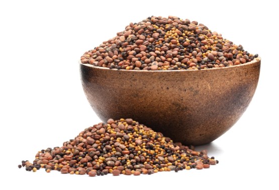 Brokkoli, Rettich, Klee BIO Keimsaat-Mix