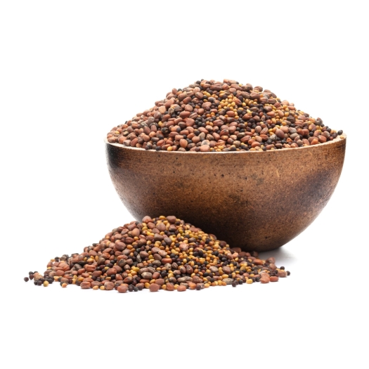Brokkoli, Rettich, Klee BIO Keimsaat-Mix