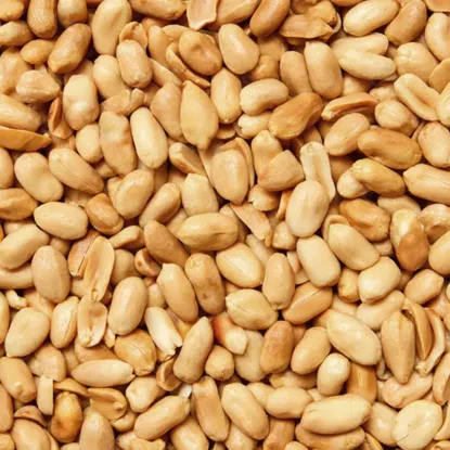 Erdnüsse geröstet & ungesalzen