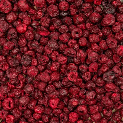 Gefriergetrocknete Sauerkirschen XXL
