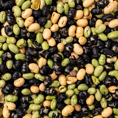 Gesalzene Bohnenmischung