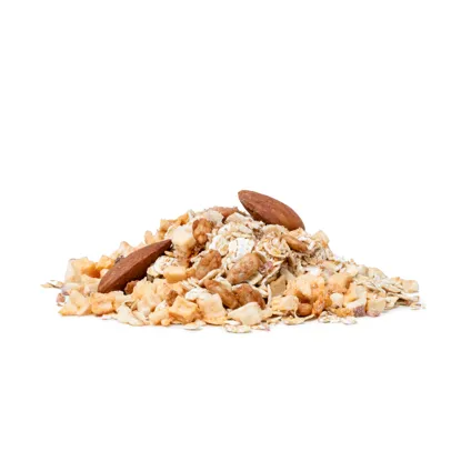 Haferbrei Apfel & Mandeln mit Zimt