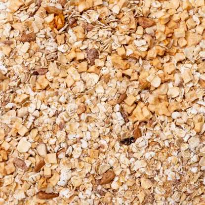 Haferbrei Apfel & Mandeln mit Zimt