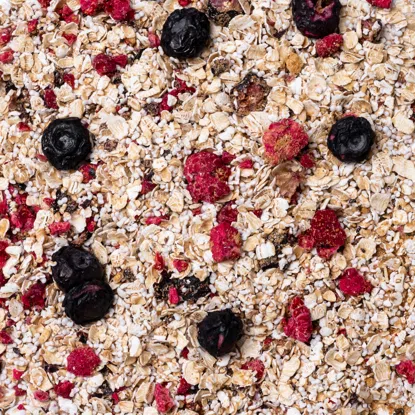 Haferbrei Himbeere & Heidelbeere 6 x 60 g