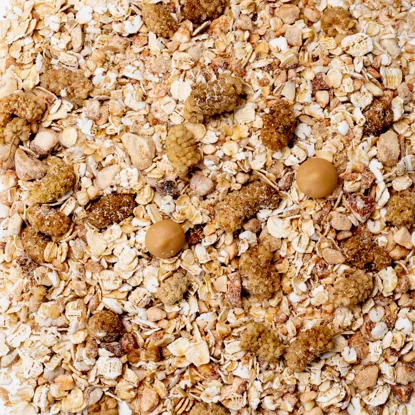 Haferbrei Karamell & weiße Maulbeere