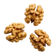 Walnüsse