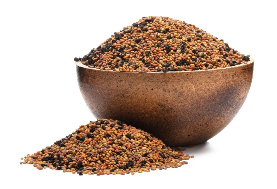 Keimsaat Mix Allegro BIO