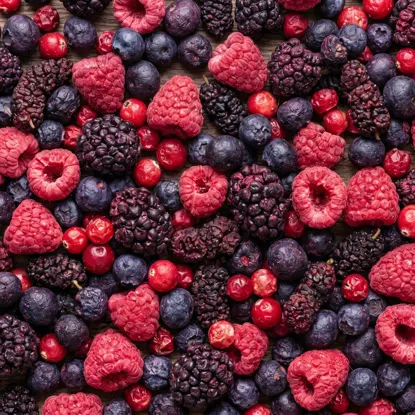 LYO Wildbeeren-Mix
