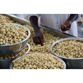 Macadamia Nüsse halbiert
