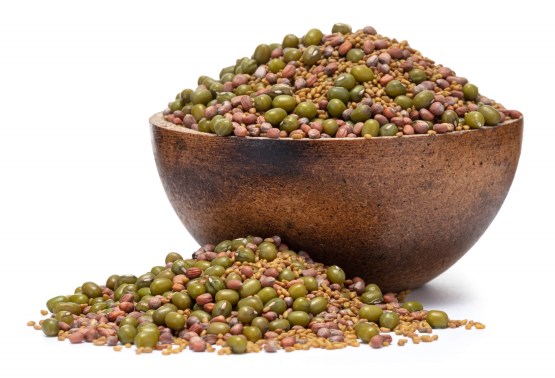 Mungo, Alfalfa, Rettich BIO Keimsaat-Mix