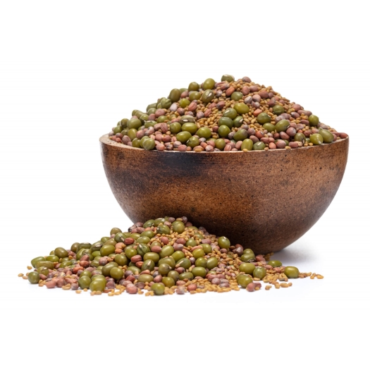 Mungo, Alfalfa, Rettich BIO Keimsaat-Mix