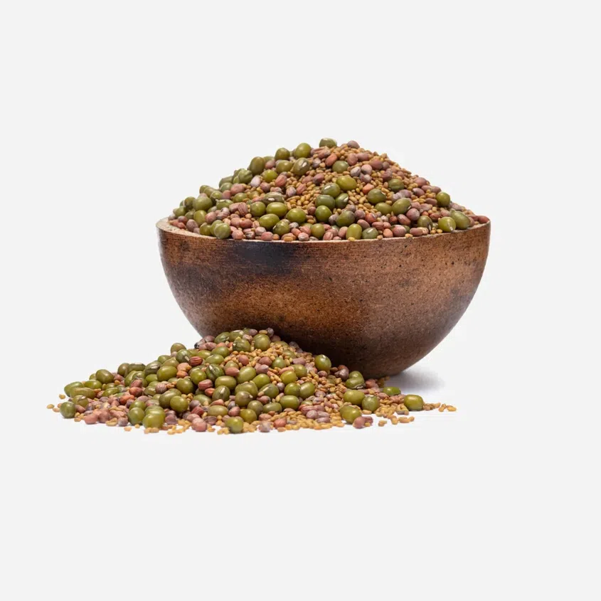 Mungo, Alfalfa, Rettich BIO Keimsaat-Mix