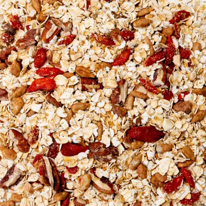 Porridge Nüsse & Samen