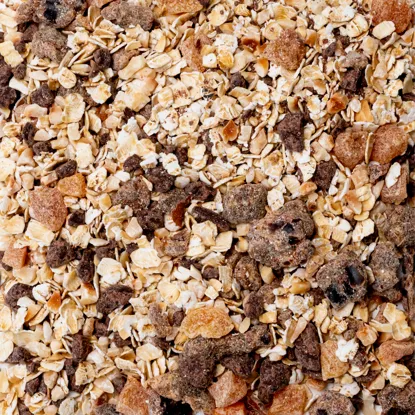 Porridge Zartbitterschokolade & Haselnüsse