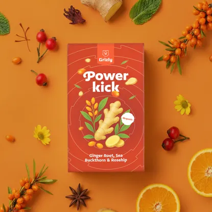 Power kick BIO Kräutertee