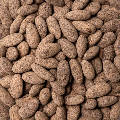 Skinny Dipped Almonds in dark chocolate & cacao