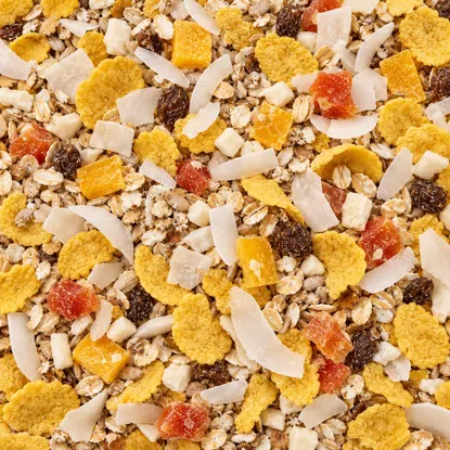 Ungebackenes Müsli mit Mango & Kokos