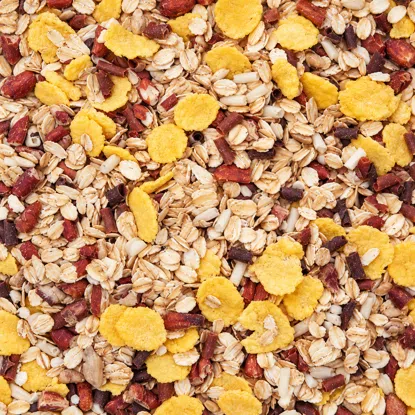 Ungebackenes Müsli mit Triple-Schokolade